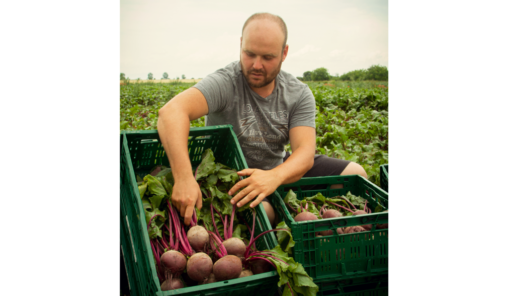 Нашите производители - семейство Горчеви от село Чешнегирово