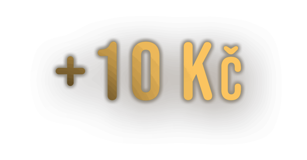 za každý zakoupený arch jmenovek Kaufland přispěje + 10 Kč + 10 Kč