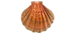 https://media.kaufland.com/images/PPIM/AP_Alphacontent/AP_Alphacontent_150/hrv/17/35/Asset_2431735.png