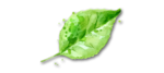 Verschiedene Obst- und Gemüsesorten Verschiedene Obst- und Gemüsesorten