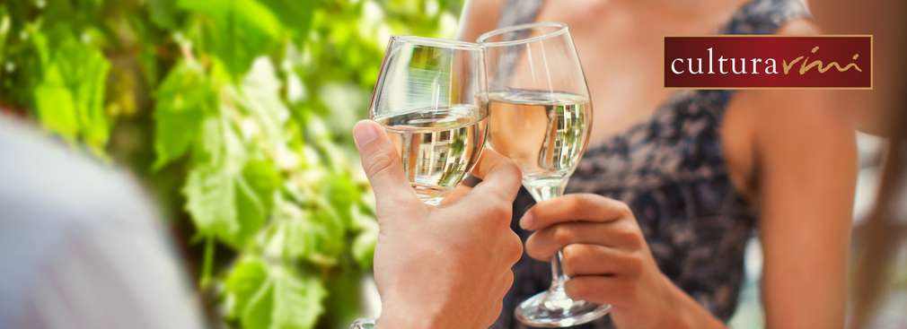 Изображение на мъж и жена, които си казват наздраве с чаша бяло вино Cultura Vini