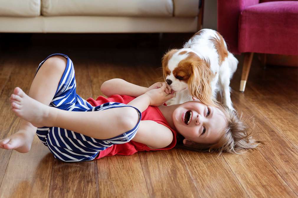 Изображение на дете, което си и грае с куче