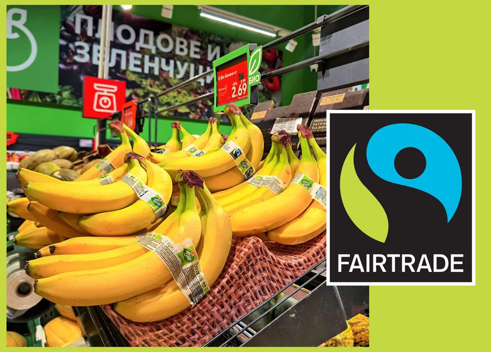 Kaufland България предлага био банани, сертифицирани по стандарта Fairtrade Kaufland България предлага био банани, сертифицирани по стандарта Fairtrade