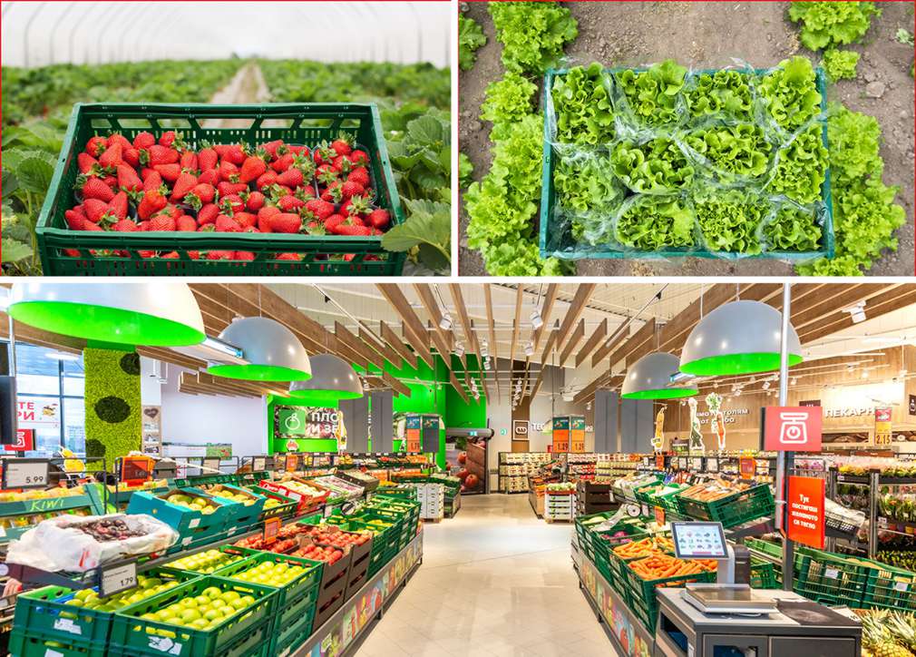 48 млн. кг. български плодове и зеленчуци са продадени в Kaufland България през 2020 година 48 млн. кг. български плодове и зеленчуци са продадени в Kaufland България през 2020 година
