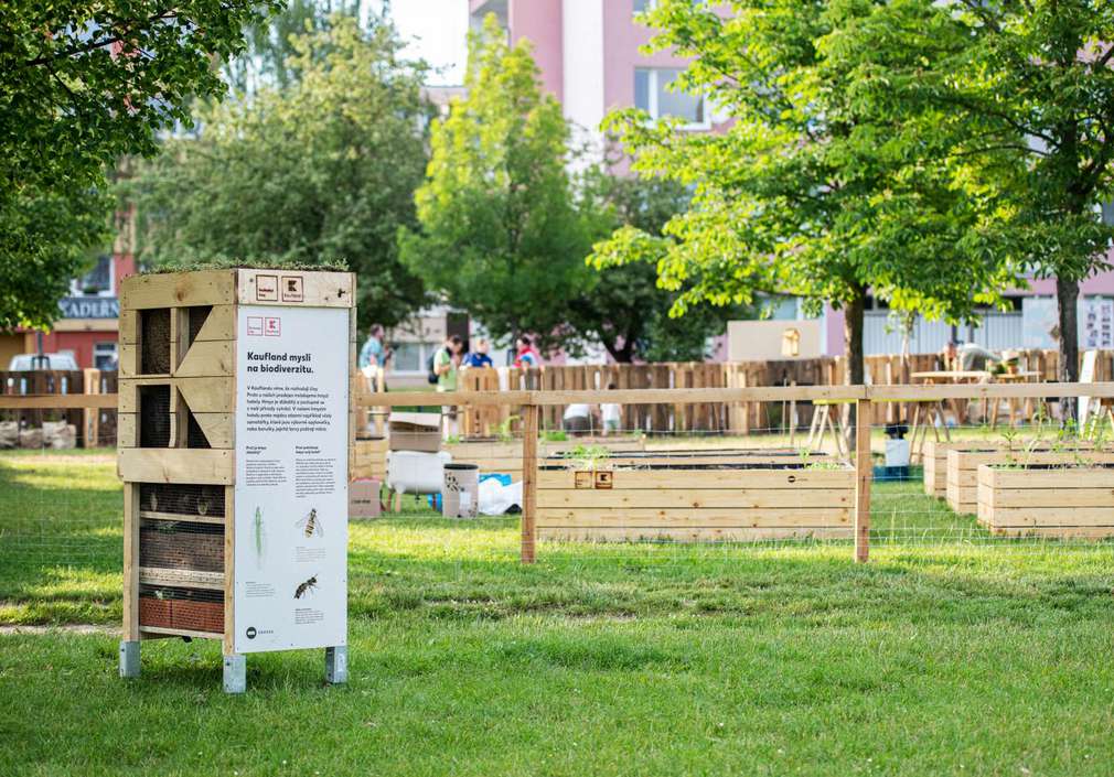 Záhony a hmyzí domek v komunitní zahradě v Kladně. hmyzí domek a záhony