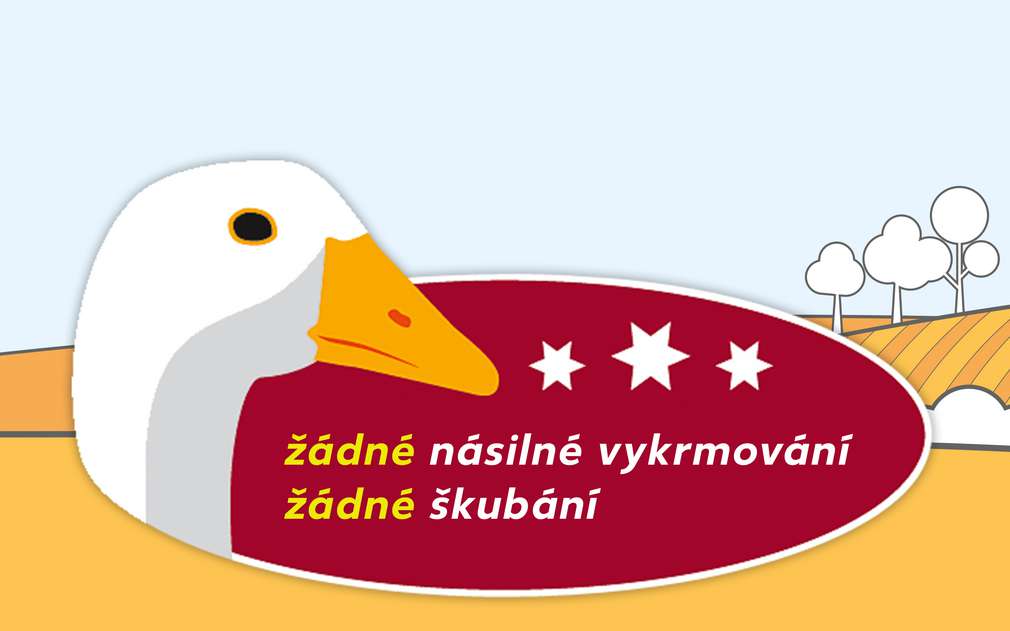Kaufland se zasazuje proti násilí na kachnách a husách Kaufland se zasazuje proti násilí na kachnách a husách