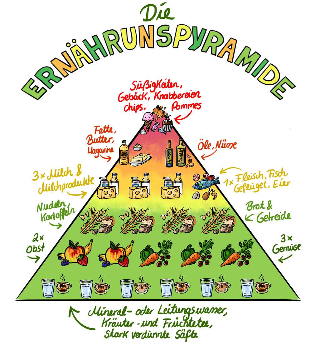 Ernährungspyramide Ernährungspyramide