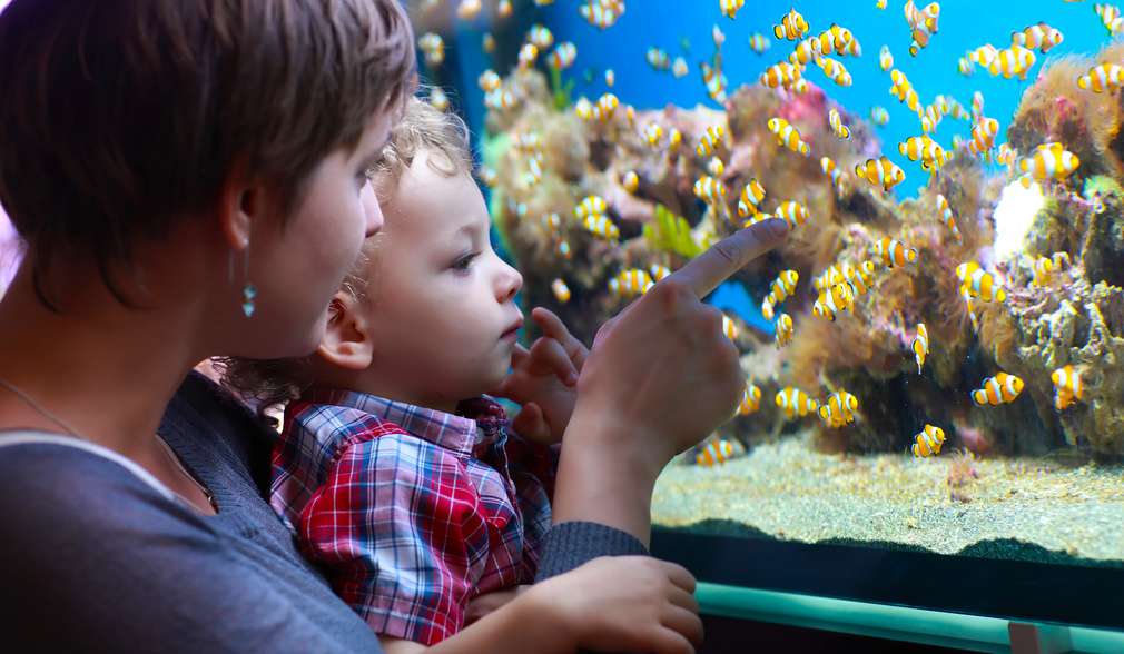 Mutter und Kind vor Aquarium Mutter und Kind vor Aquarium