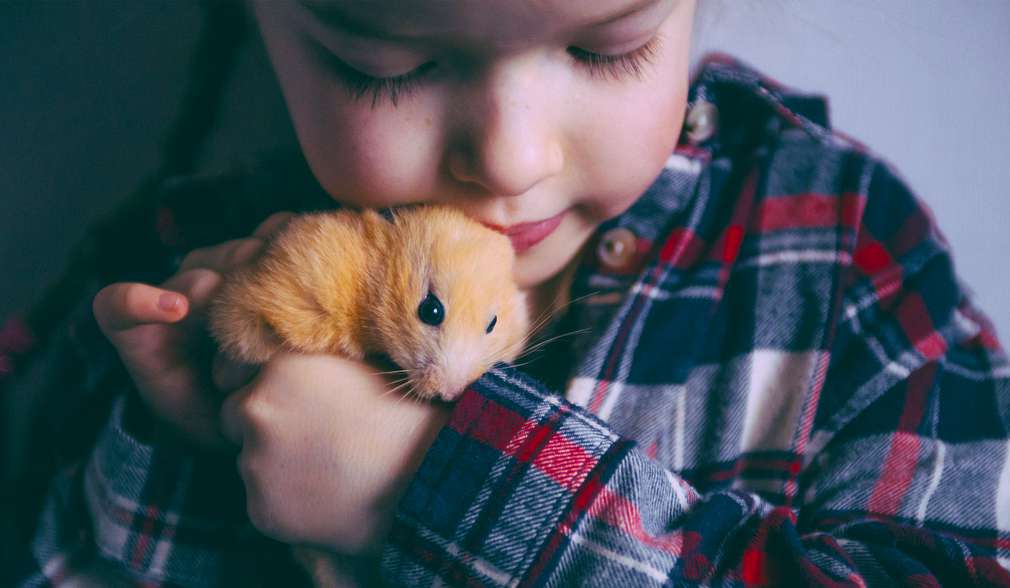 Junge mit Hamster auf dem Arm Junge mit Hamster auf dem Arm