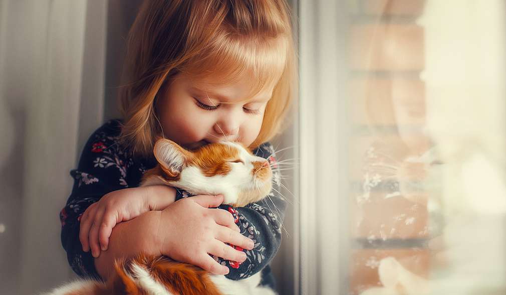 Mädchen mit Katze Mädchen mit Katze