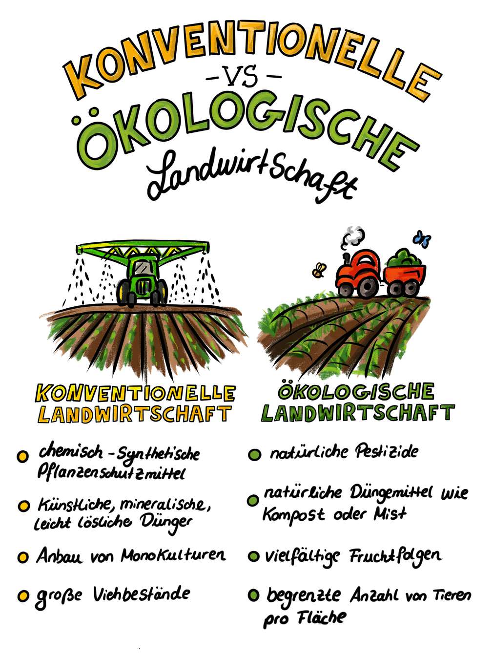 Infografik: Unterschiede konventionelle und ökologische Landwirtschaft Infografik: Unterschiede konventionelle und ökologische Landwirtschaft