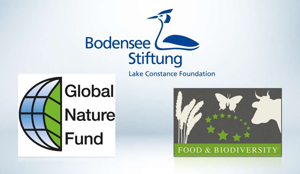Logo der Bodensee Stiftung, des Global Nature Funds und Food and Biodiversity Logo der Bodensee Stiftung, des Global Nature Funds und Food and Biodiversity