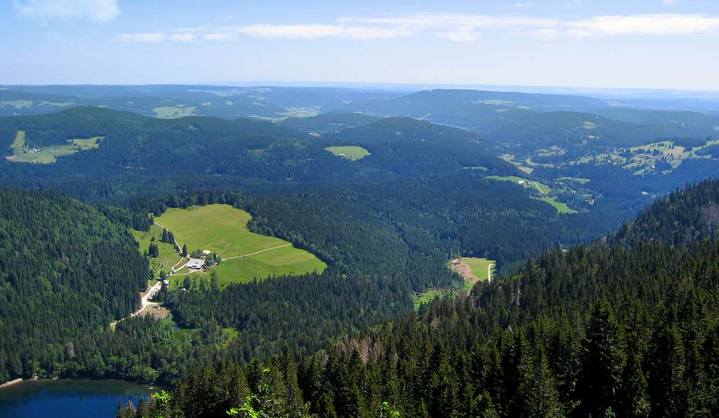 Kaufland unterstützt den Verband Deutscher Naturparke gezeichnete Landschaft, Ntur, Fluss, mit Naturpark-Logo