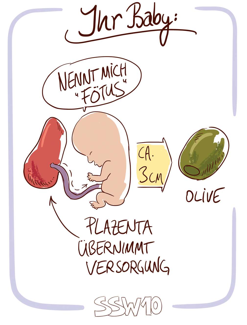 Infografik: Baby SSW 10 Infografik: Baby SSW 10