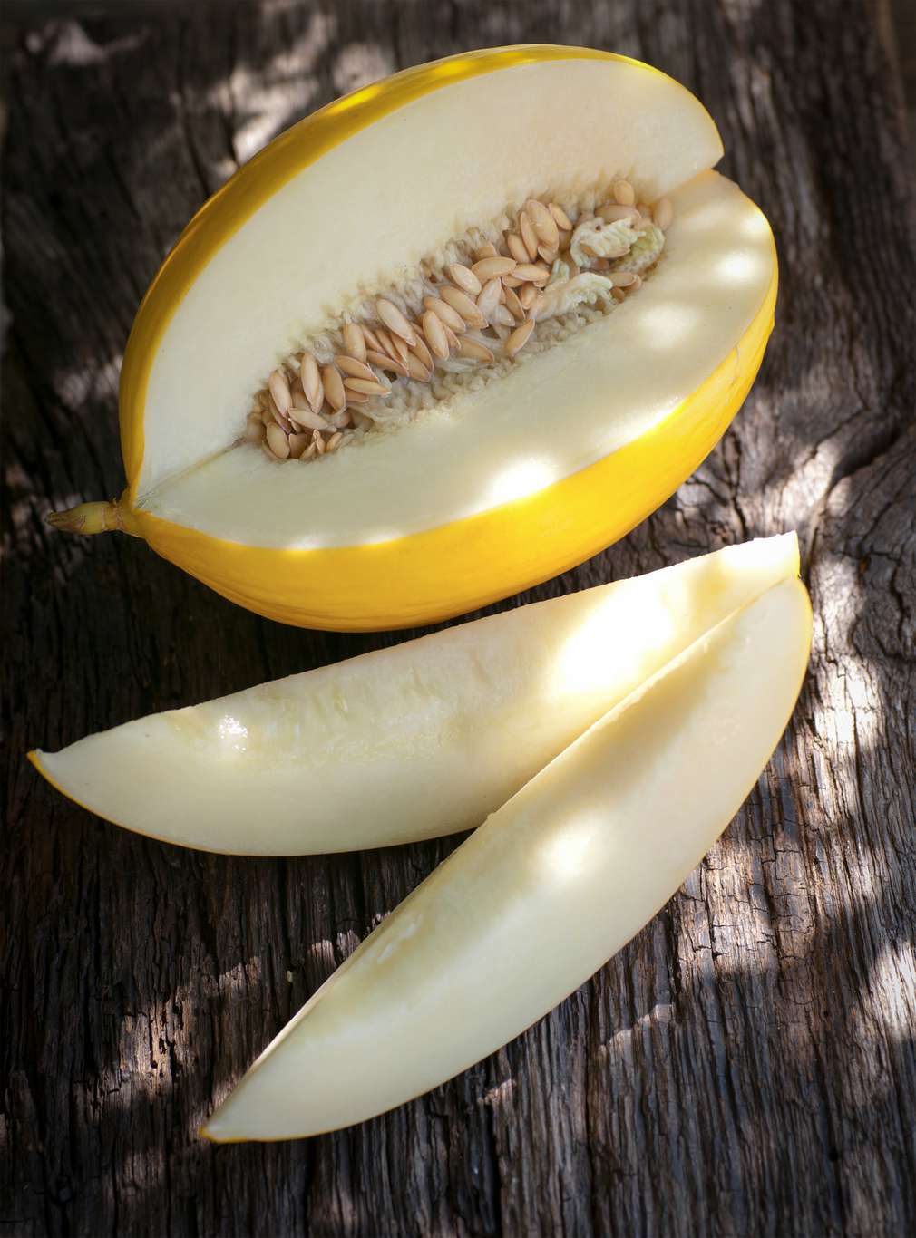 Honigmelone Honigmelone