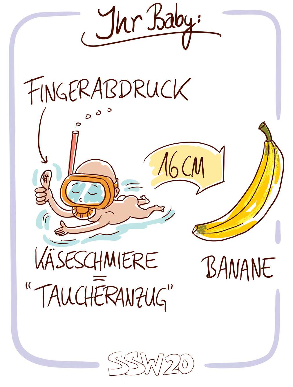 Infografik: Baby SSW 20 Infografik: Baby SSW 20