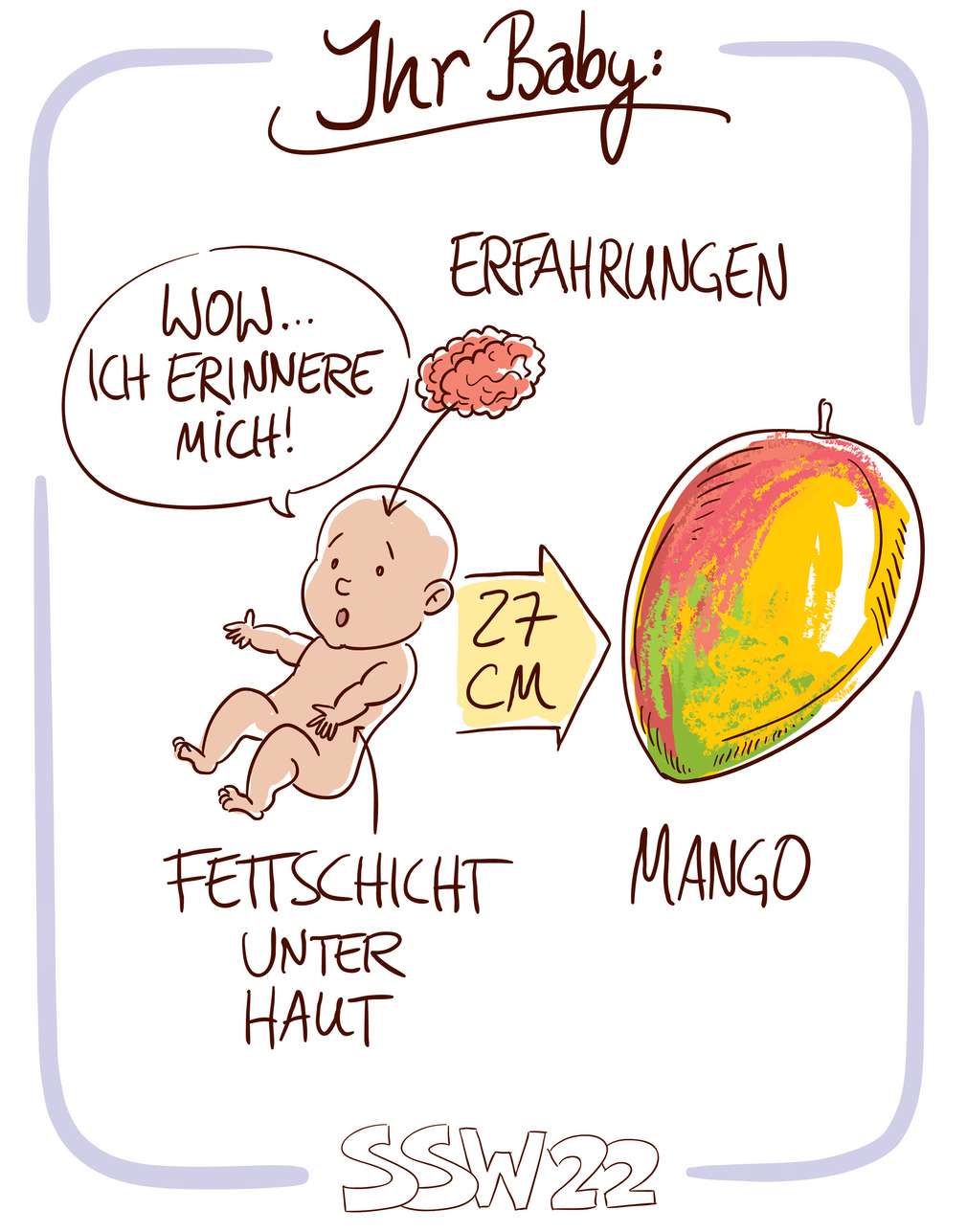 Infografik: Baby SSW 22 Infografik: Baby SSW 22