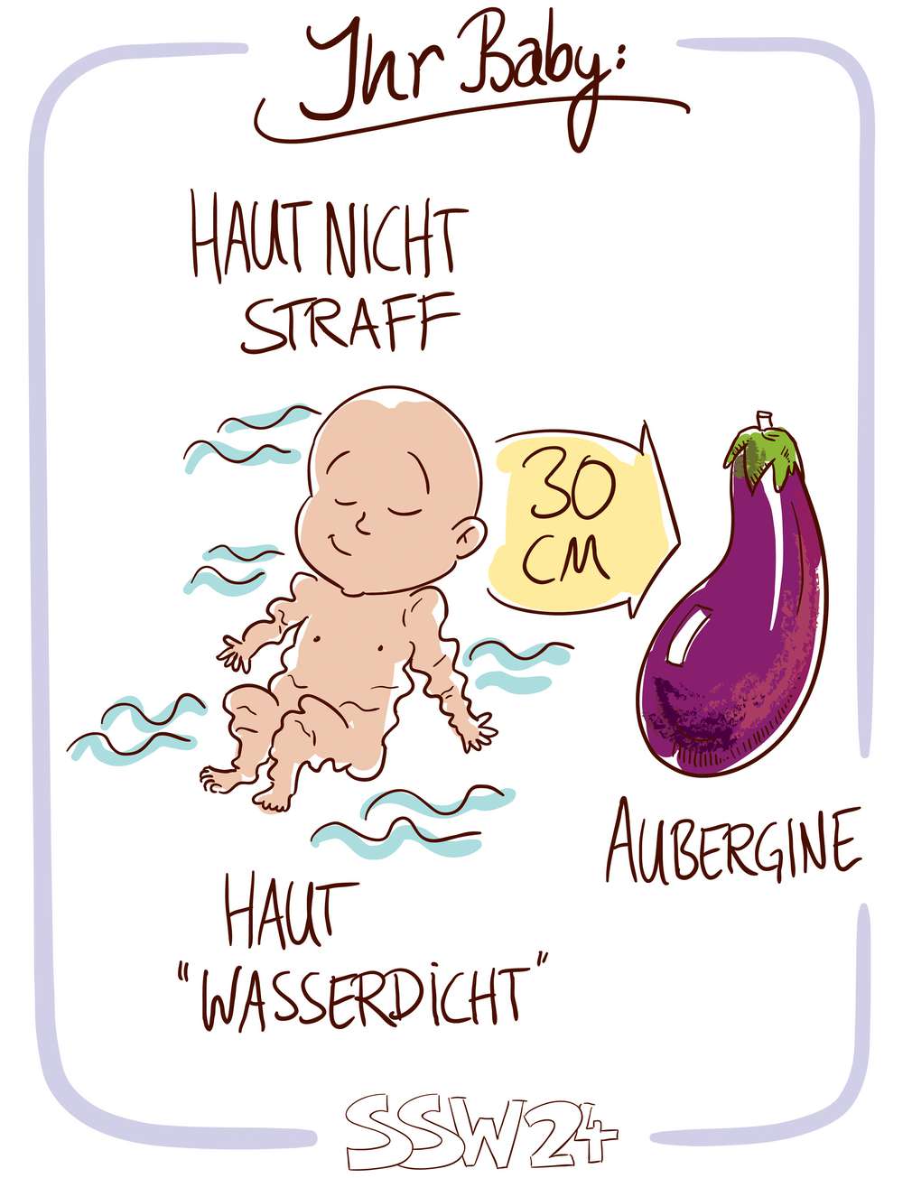Infografik: Baby SSW 24 Infografik: Baby SSW 24