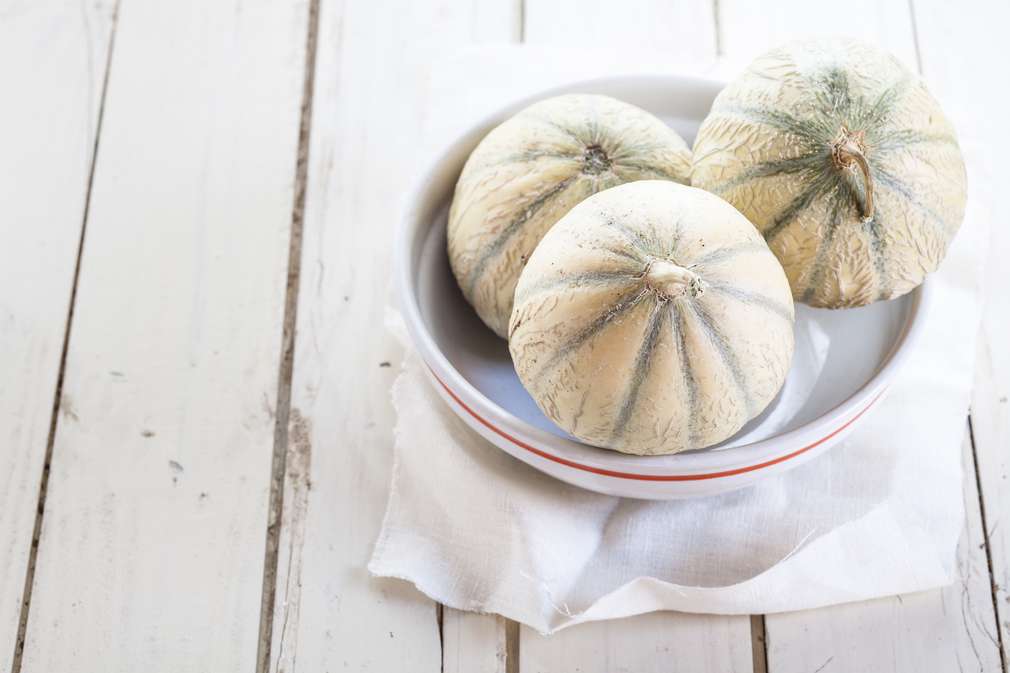 Cantaloupemelonen Cantaloupemelonen