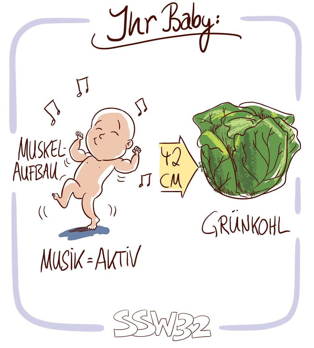 Infografik: Baby SSW 32 Infografik: Baby SSW 32