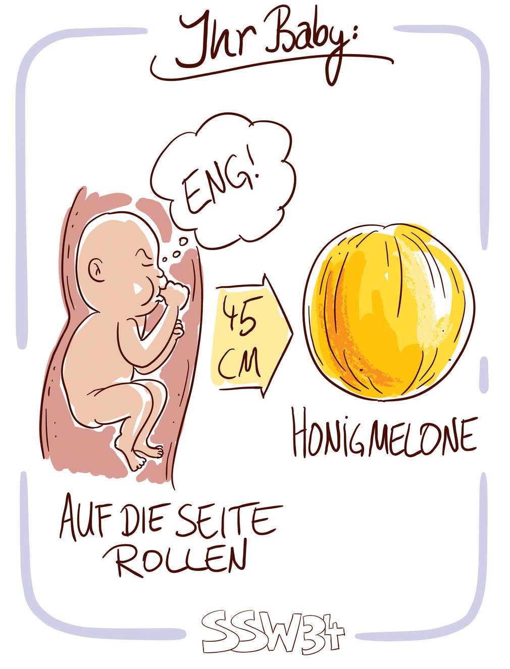 Infografik: Baby SSW 34 Infografik: Baby SSW 34