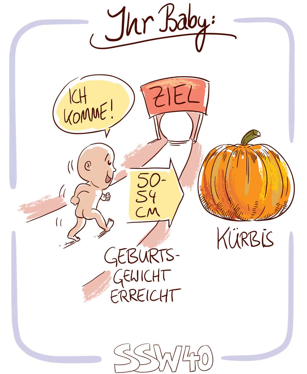 Infografik: Baby SSW 40 Infografik: Baby SSW 40