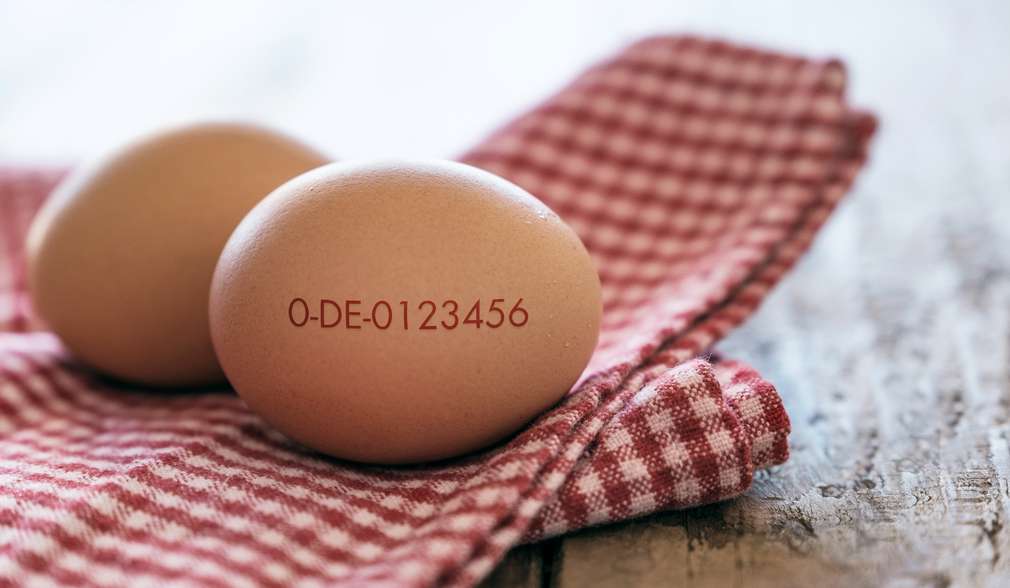 Anhand des Erzeugercodes erfahren Sie mehr über unsere Bio-Eier Bio-Ei mit aufgedrucktem Erzeugercode