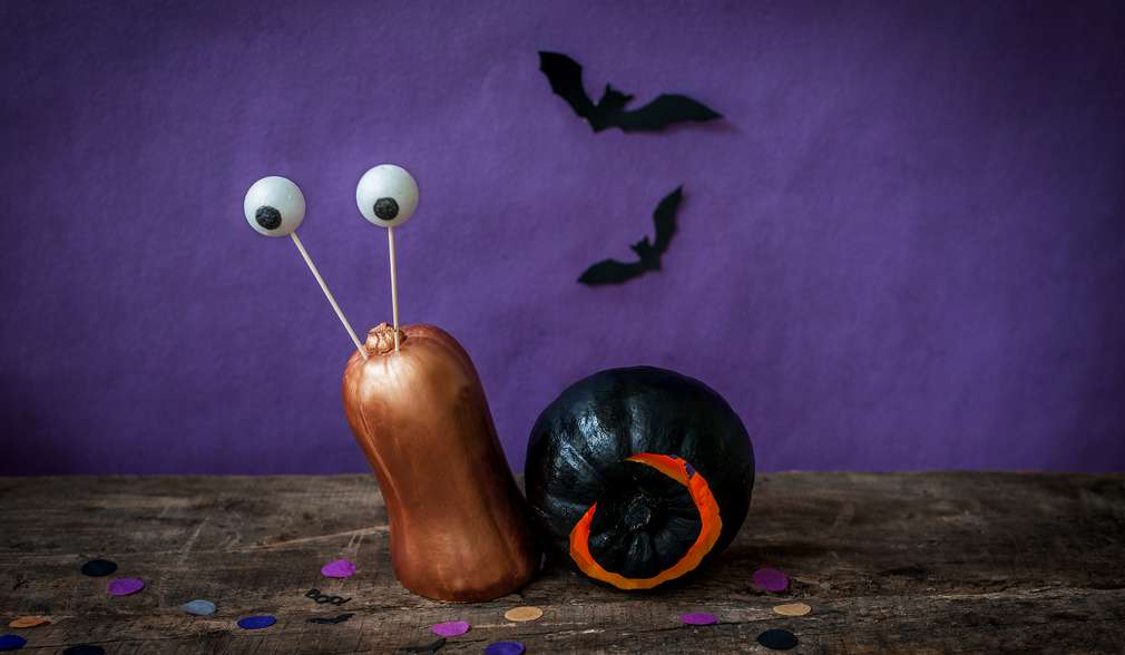 Süß-schaurige Kürbis-Schnecke Süß-schaurige Kürbis-Schnecke