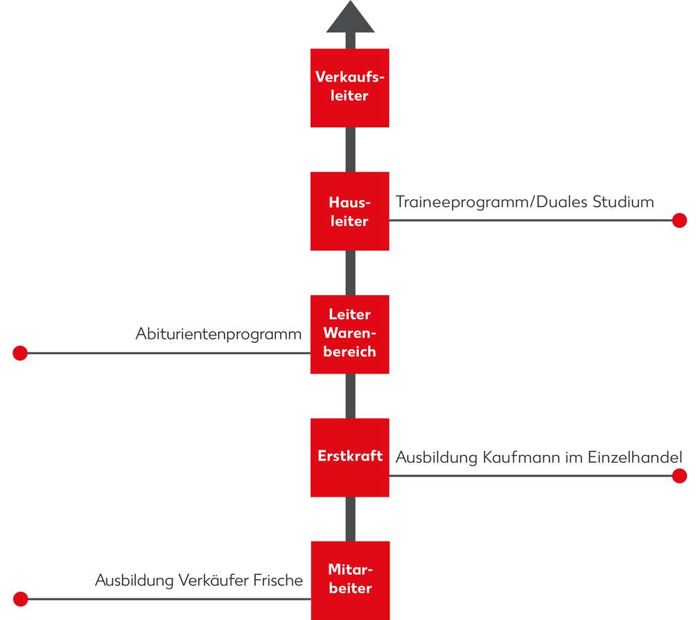 Abbildung Entwicklungspfad Vertrieb Abbildung Entwicklungspfad Vertrieb
