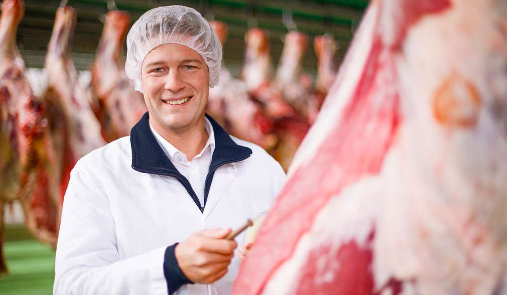 Mitarbeiter aus den Fleischwerken kontrolliert die Qualität des Fleisches Mitarbeiter aus den Fleischwerken kontrolliert die Qualität des Fleisches