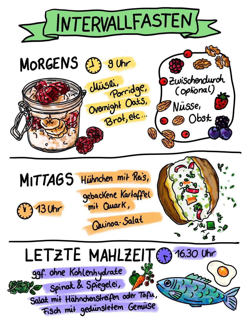 Infografik Intervallfasten Infografik Intervallfasten