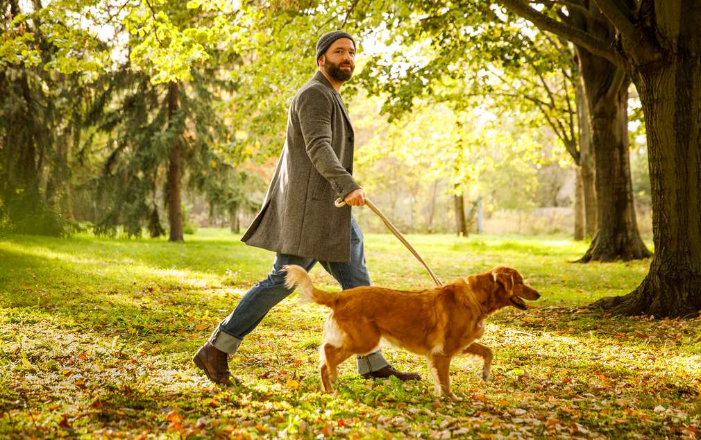 Mann geht mit Hund im Park spazieren Mann geht mit Hund im Park spazieren