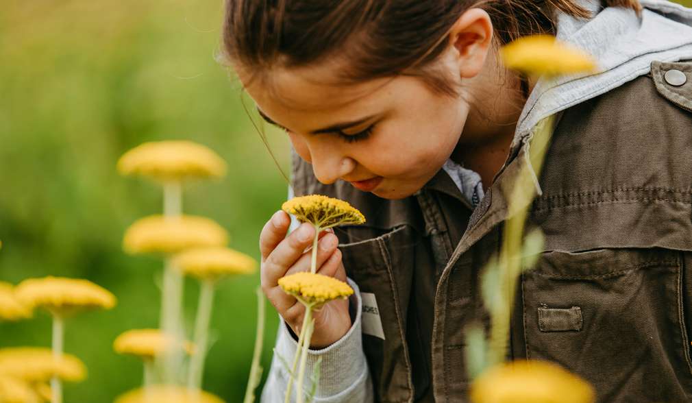 Kind riecht an Blume Kind riecht an Blume