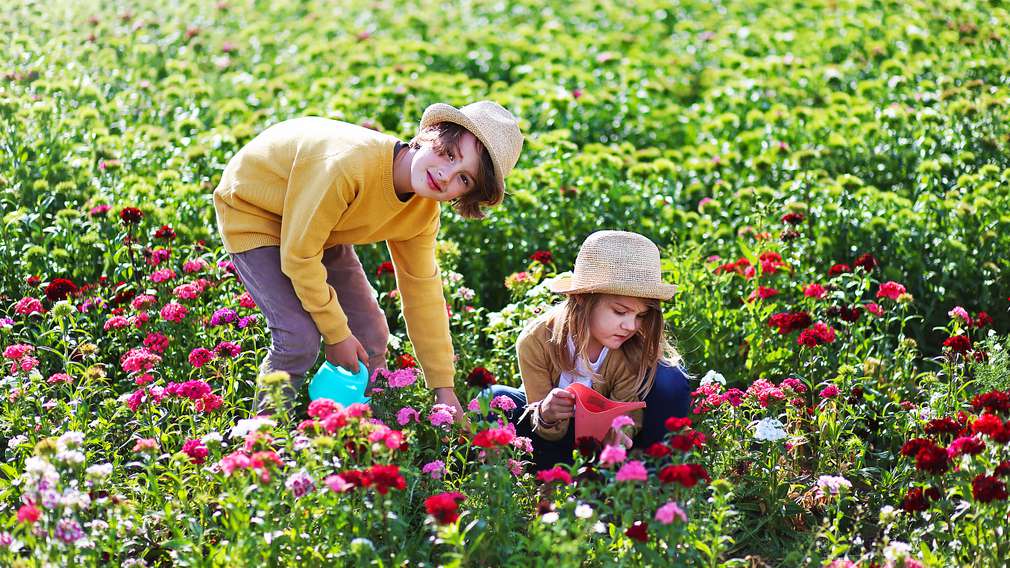 Mehr zu Gärtnern mit Kindern Kinder beim Gärtnern