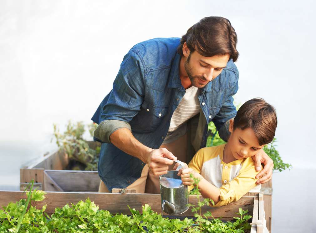 Vater und Sohn gießen Pflanzen im Hochbeet Vater und Sohn gießen Pflanzen im Hochbeet