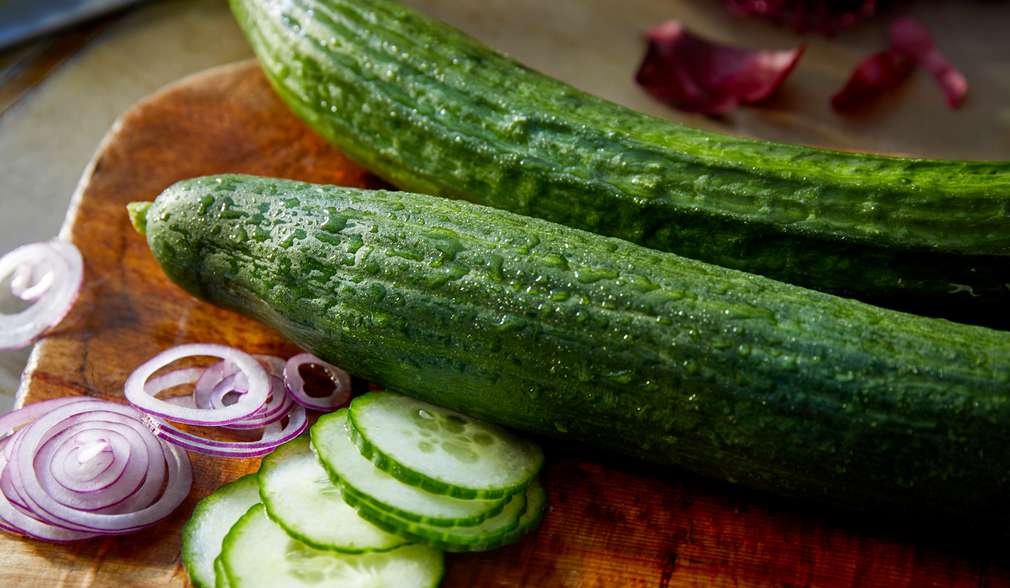 Frische Gurke ohne Plastik Frische Gurke ohne Plastik