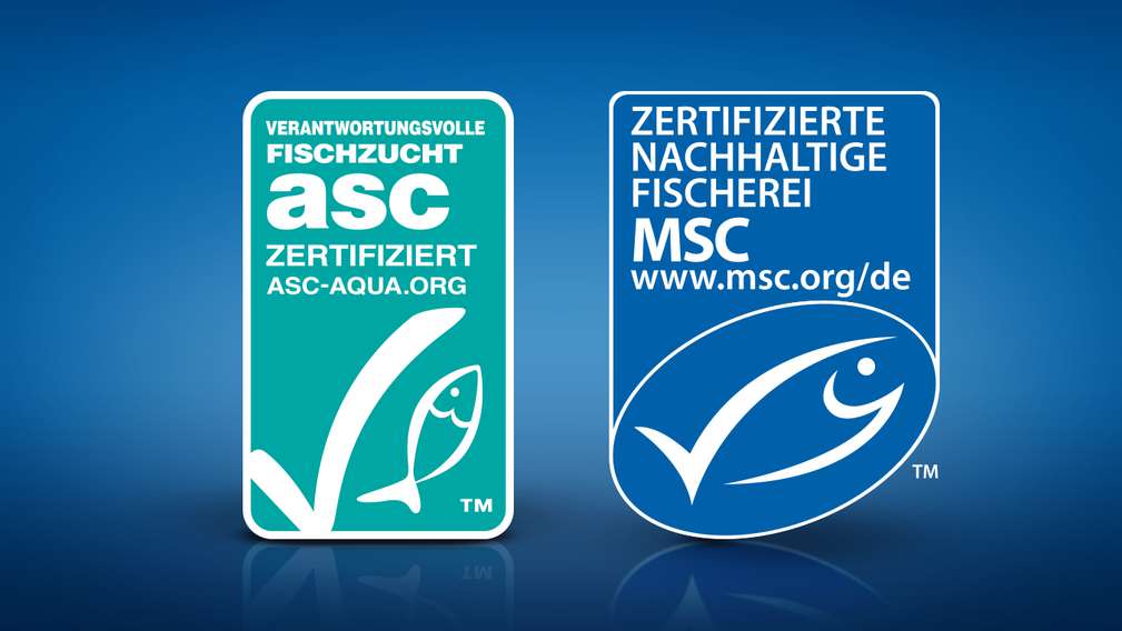 MSC i ASC certifikat