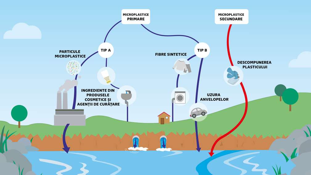 Afla mai multe despre cele doua tipuri de microplastic Diagrama care arata cum se formeaza microplasticele