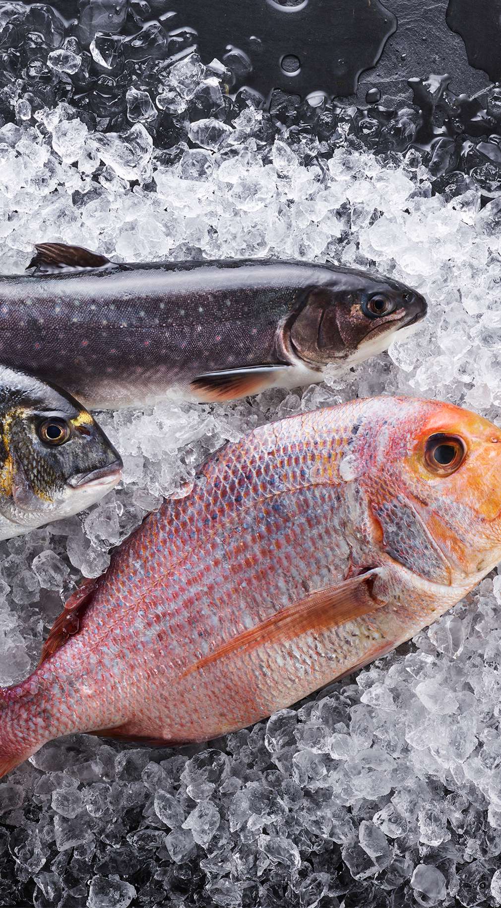 Oferte la pește și produse din pește