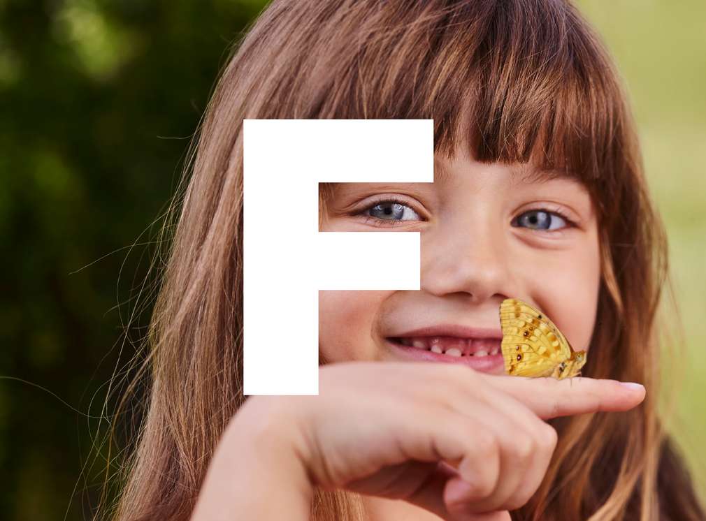 FRESH / FERICIRE FRESH / FERICIRE