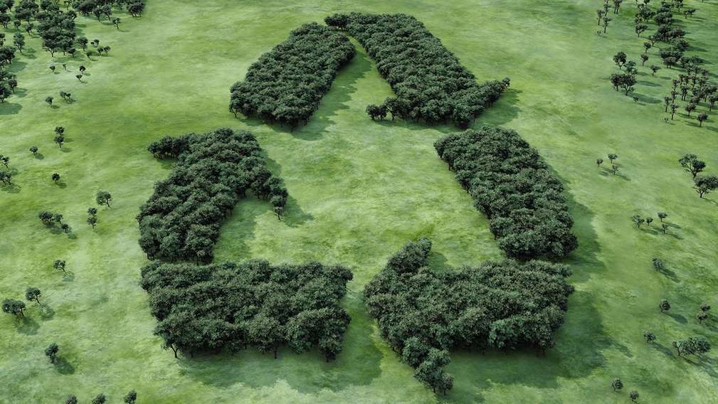 Automate de reciclare Automate de reciclare