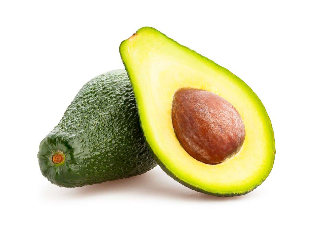 Avocado Avocado