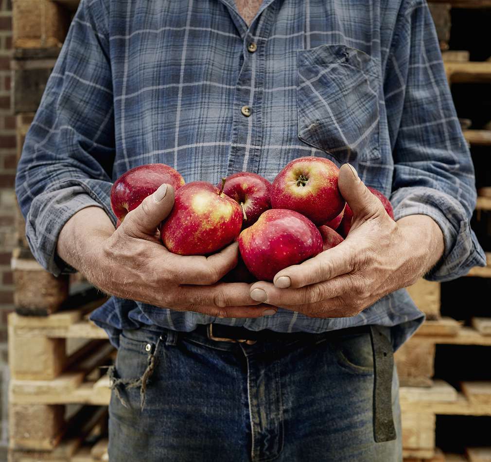 Изображение на ръце, които държат ябълки