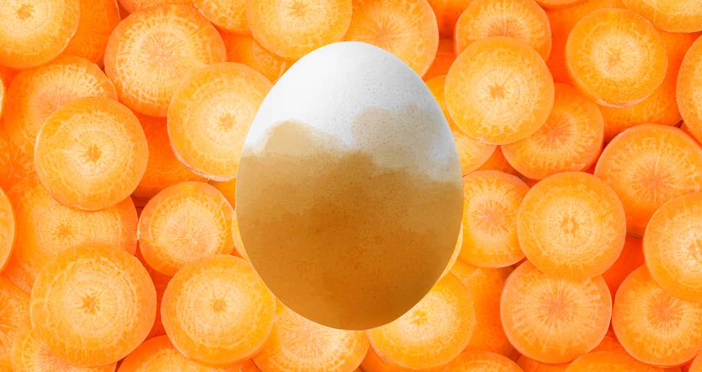 Oranges Ei auf Möhrenhintergrund Oranges Ei auf Möhrenhintergrund