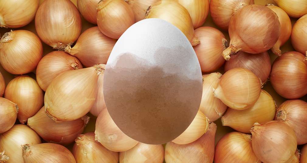 Braunes Ei auf Zwiebelhintergrund Braunes Ei auf Zwiebelhintergrund