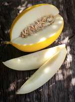 Honigmelone Honigmelone