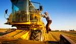 Bio und Fairtrade liegen uns am Herzen Bauer fährt auf Traktor über ein Feld (Illustration)