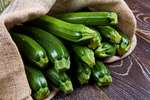 zucchini in sack zucchini in sack