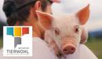 Bauer mit Ferkel und Logo der Initiative Tierwohl Bauer mit Ferkel und Logo der Initiative Tierwohl