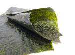 Alge nori Alge nori